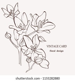 Blossoming vector flowers on white.Vintage card. Hand-drawn contour lines and strokes. Element for design.