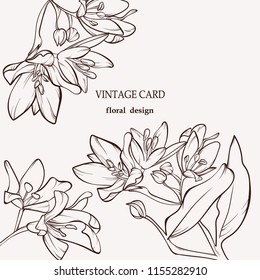 Blossoming vector flowers on white.Vintage card. Hand-drawn contour lines and strokes.