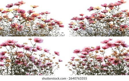Blossoming wildflower border layout, vector isolate foreground, floral arrangement, wildflowers in bloom, natural design, nature elements, vibrant colors, spring flowers, botanical art