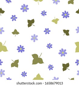 Flores de Hepatica y hojas sin fisuras. Patrón botánico sin fisuras.