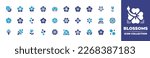Blossoms icon collection. Duotone color. Vector illustration. Containing flowers, plumeria, hibiscus, cherry blossom, lotus, african violet, sakura, mugunghwa, edelweiss, tulip, anemone, petals.