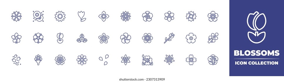 Blossoms line icon collection. Editable stroke. Vector illustration. Containing flower, flowers, sunflower, hydrangea, african violet, magnolia, cherry blossom, hibiscus, anemone, tulip, strawberry.