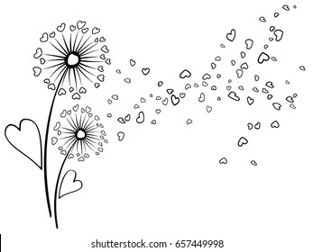 Blow ball flower with heart shaped feather and leaves illustration. Abstract flying petals. Black and white vector dandelion herb. Meadow plant floral background design. Print for valentine card.