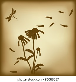 Blow camomile