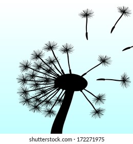 Blow Dandelion 
