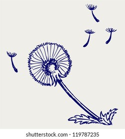 Blow Dandelion. Doodle style