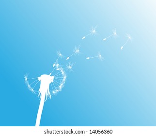 Salve Dandelion. Ver más dientes vectoriales en mi portafolio
