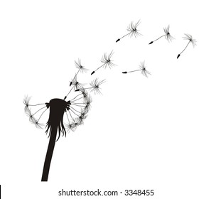 Blow Dandelion.  See more vector dandelions in my portfolio