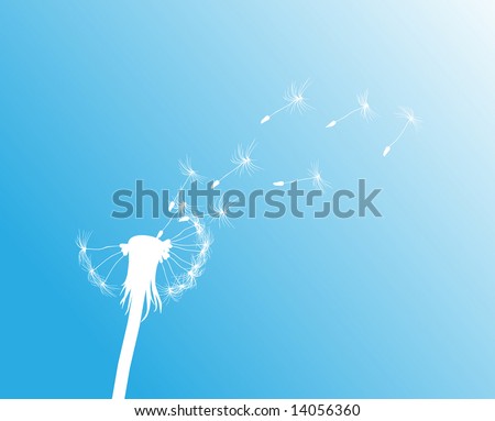 Blow Dandelion. See more vector dandelions in my portfolio