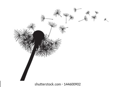 Blow Dandelion. Vector