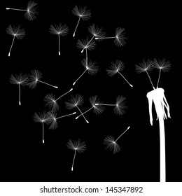 Blow dandelion vector abstract background concept