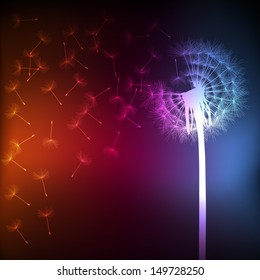 Blow dandelion vector background concept