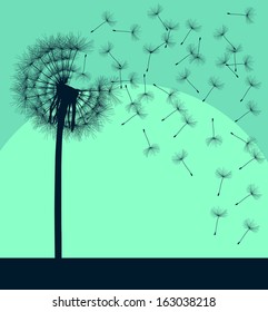Blow dandelion vector vintage background concept