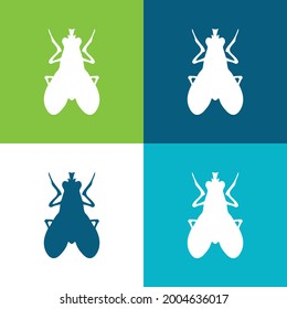 Blow Fly Insect Shape Flat four color minimal icon set