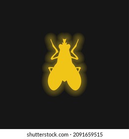 Blow Fly Insect Shape yellow glowing neon icon