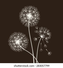 Blowball seeds over black background. Vector illustration.