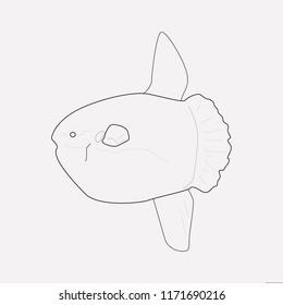 Blowfish icon line element. Vector illustration of blowfish icon line isolated on clean background for your web mobile app logo design.