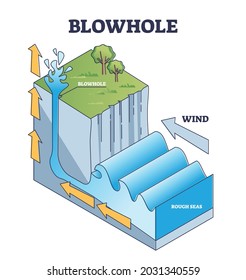 Blowhole or marine geyser formation in sea caves explanation outline diagram. Labeled educational nature process with water splashing above earth surface. Geological vertical shafts creation scheme.