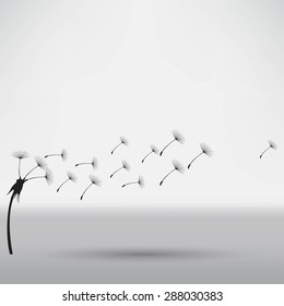 blowing dandelion