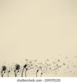 blowing dandelion vector