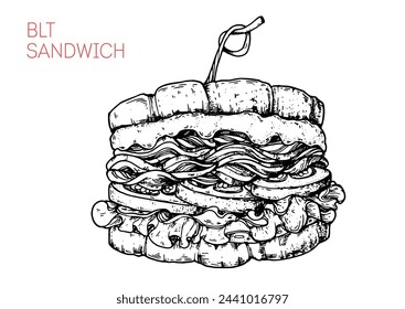 BLT sandwich sketch. Hand drawn vector illustration. not AI