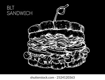 BLT sandwich sketch. Hand drawn vector illustration. not AI