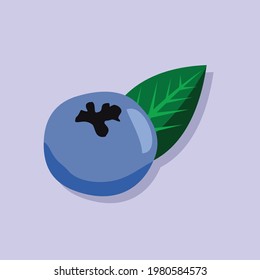 blubery fruit and leaf with solid background vector design