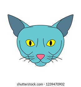 Blue abyssinian cat with yellow eyes on white background. Vector illustration