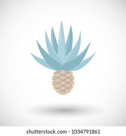 Blue agave flat vector icon, Flat design of Mexican beverage tequila ingredient, blue agave product or agriculture object with round shadow, cute vector illustration with reflections