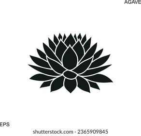 Agave azul. Agave aislada sobre fondo blanco