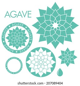 Blue agave. Logo. Isolated agave on white background. Vector illustration