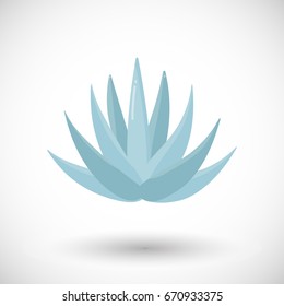 Blue agave plant vector flat icon, Flat design of food, drink, tequila making product and nature object with round shadow isolated on the white background, cute vector illustration with reflections