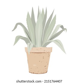 Blue Agave in a stylish old flower pot, flat vector illustration. Potted Meditteranean garden plant