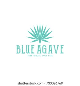 Blue agave. Tequila logo. Isolated agave on white background. Vector illustration