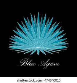 Blue Agave Or Or Tequila Agave Plant. Vector Illustration.