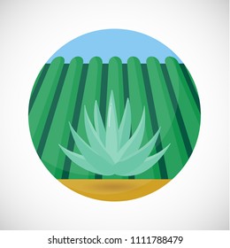 Blue Agave Vector Flat Icon, Flat Design Of Tequila Product Ingredient, Agave Heart, Field And Sky Background, Vector Concept Illustration With Shadows