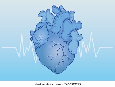 blue anatomical heart
