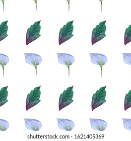 Blue Anthurium Tailflower. Green Dracaena. Vector illustration. Seamless background pattern. Floral botanical flower. Wild leaf wildflower isolated. Exotic tropical hawaiian jungle. Fabric wallpaper.