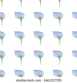 Blue Anthurium Tailflower. Vector illustration. Seamless background pattern. Floral botanical flower. Wild leaf wildflower isolated. Exotic tropical hawaiian jungle. Fabric wallpaper print texture.