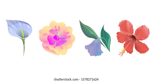 Blue Anthurium Tailflower. Yellow Magnolia. Purple Bllflower. Red Hibiscus. Vector illustration. Isolated illustration element. Floral botanical flower. Wild leaf wildflower isolated. Exotic.