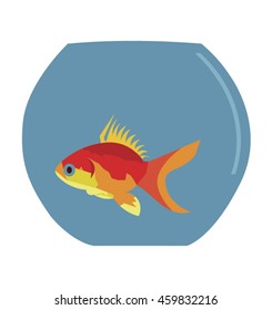 blue aquarium