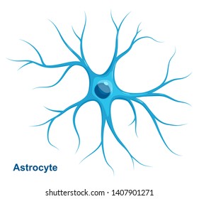 Blue Astrocyte. Cell of Neuroglia. Vector eductional illustration