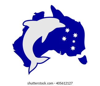 blue australia dolphin fish nautical marine life image animal