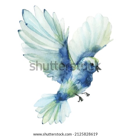Blue and azure flying bird. Vector traced gentle watercolor painted illustration. 