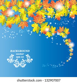 blue background autumnal orange leaf of maple vector