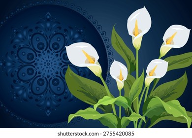 Blue background with a beautiful mandala and white calla lilies.Vector illustration of a beautiful postcard with a bouquet of white calla lilies and a mandala on a colored background.