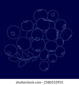 Blue background with a bunch of outline blueberries. The circles are all different sizes and are arranged in a way that makes it look like a bunch of blueberries