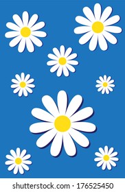 Blue background with camomiles