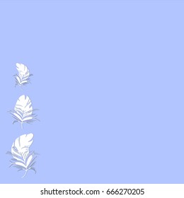 blue background with feathers, vector illustration
