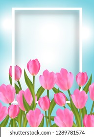 Blue Background and Frame with pink Tulips for Spring design with Flowers. Vector illustration.